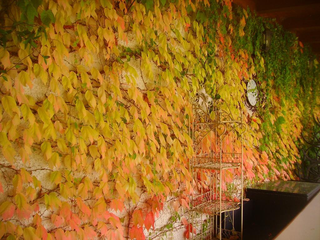 Margherita Le Fiabe Bed & Breakfast